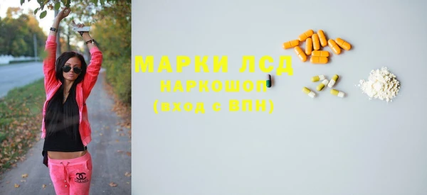 прущие грибы Каменск-Шахтинский