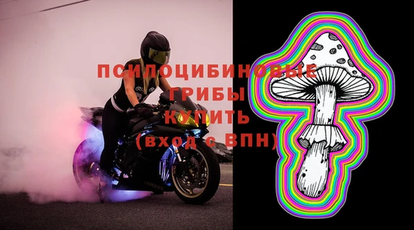 СК Чекалин