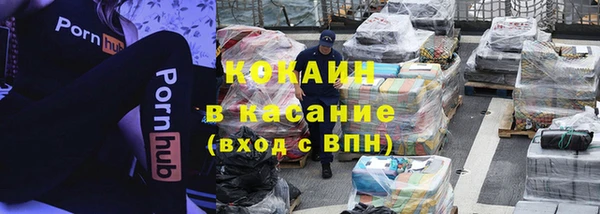 прущие грибы Каменск-Шахтинский