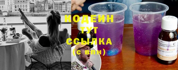 трава Карпинск