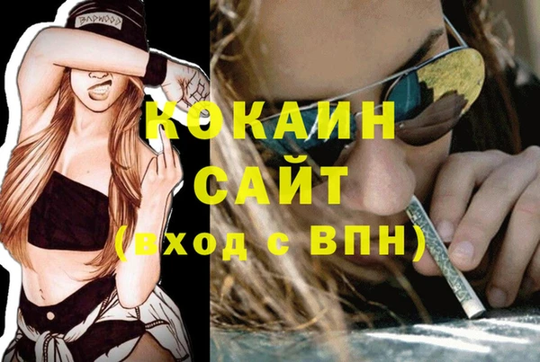 соль курить ск Каменка