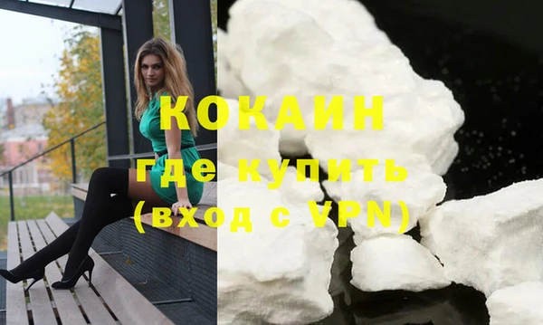 прущие грибы Каменск-Шахтинский