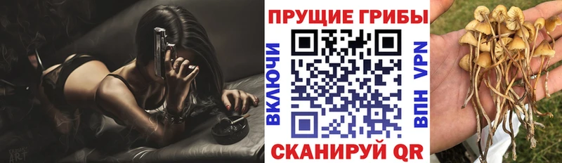 Купить  Надым  Галлюциногенные грибы прущие грибы 